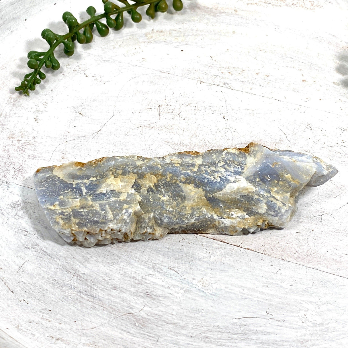 Blue Lace Agate Raw Crystal RB11 - Nature's Magick