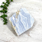 Blue Lace Agate Raw Crystal RB12 - Nature's Magick