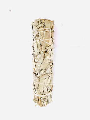 Californian White Sage Smudge Sticks - Nature's Magick