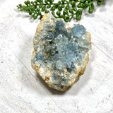 Celestite Cluster CR3663 - Nature's Magick