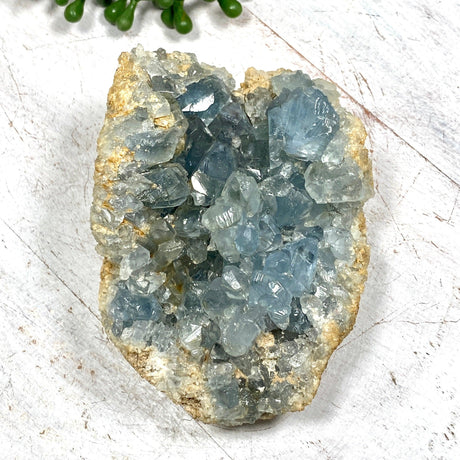 Celestite Cluster CR3663 - Nature's Magick