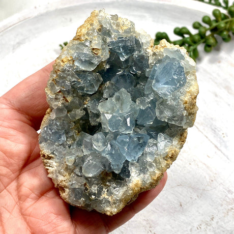 Celestite Cluster CR3663 - Nature's Magick