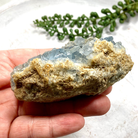 Celestite Cluster CR3663 - Nature's Magick