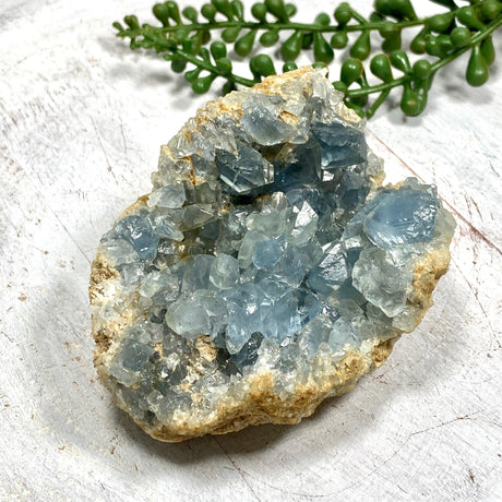 Celestite Cluster CR3663 - Nature's Magick