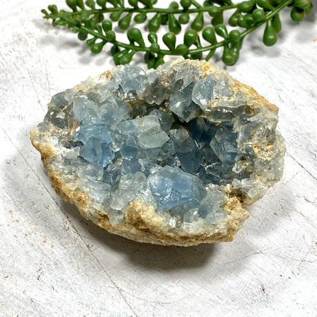 Celestite Cluster CR3663 - Nature's Magick