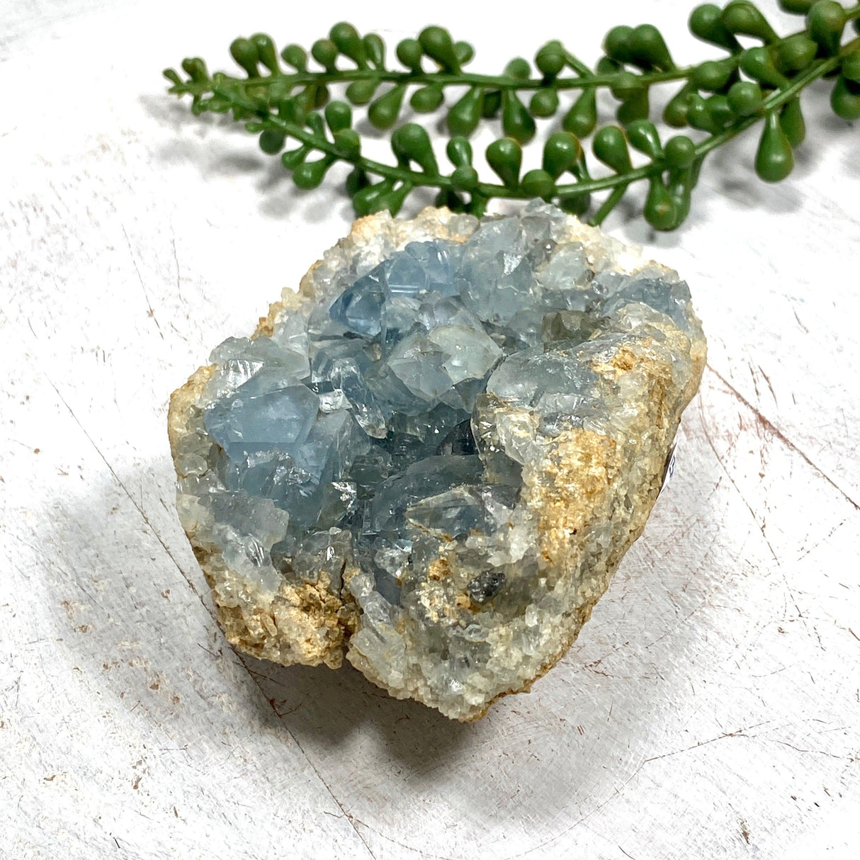 Celestite Cluster CR3663 - Nature's Magick