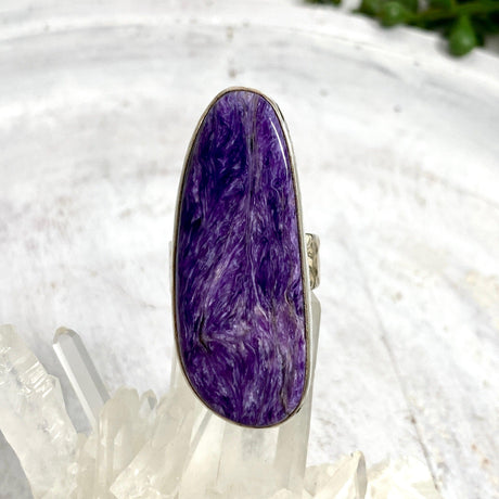 Charoite Free form Ring with Beaten Band s.10.5 KRGJ644 - Nature's Magick