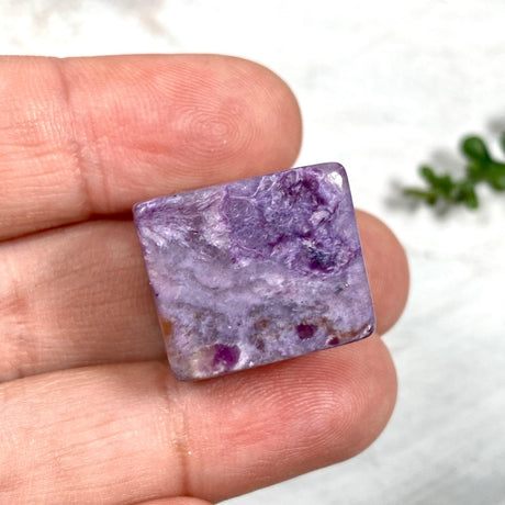 Charoite Mini Cube CHC - Nature's Magick