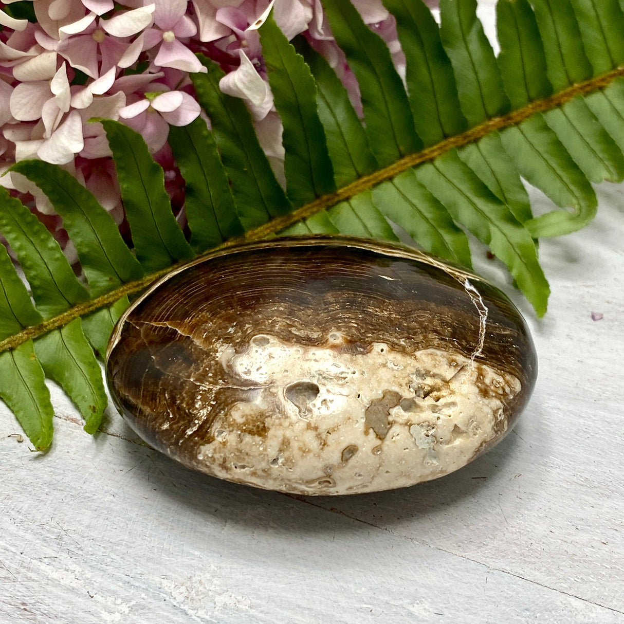 Chocolate Calcite Palmstone CCP-06 - Nature's Magick