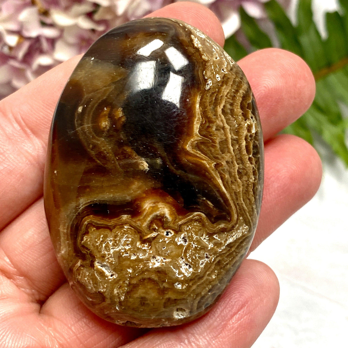 Chocolate Calcite Palmstone CCP-09 - Nature's Magick