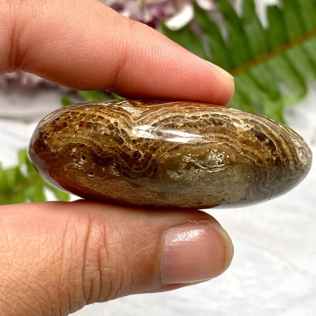 Chocolate Calcite Palmstone CCP-09 - Nature's Magick