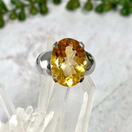 Citrine oval cut ring s.8 HRGJ-24 - Nature's Magick