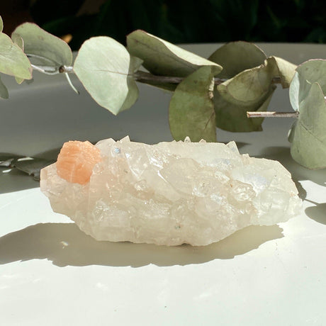 Clear Apophyllite A grade cluster APO-10 - Nature's Magick