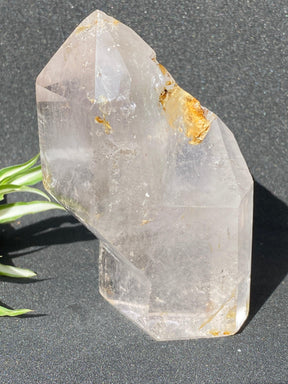 Clear Quartz Freeform Generator CR0976 - Nature's Magick