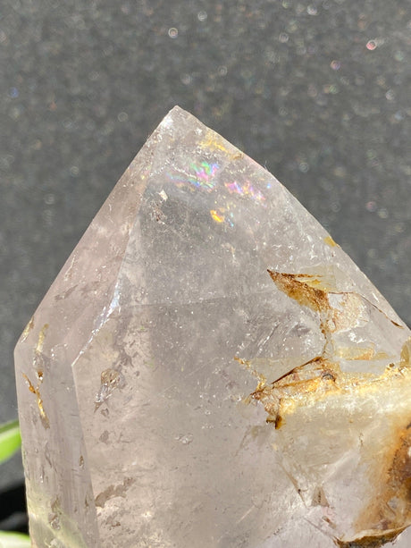 Clear Quartz Freeform Generator CR0976 - Nature's Magick