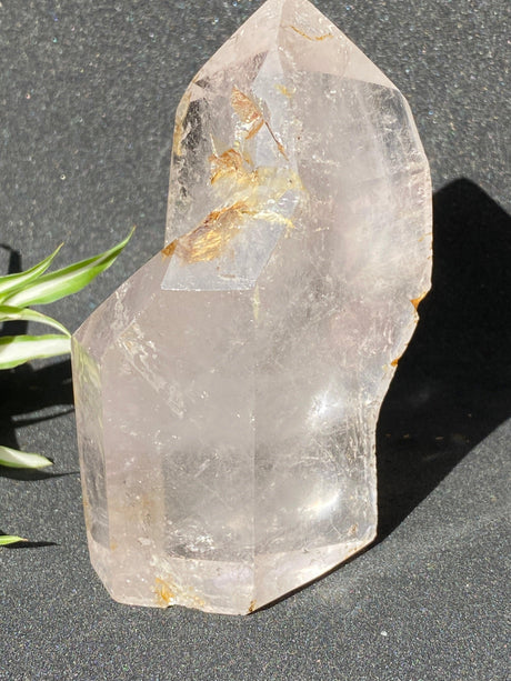 Clear Quartz Freeform Generator CR0976 - Nature's Magick