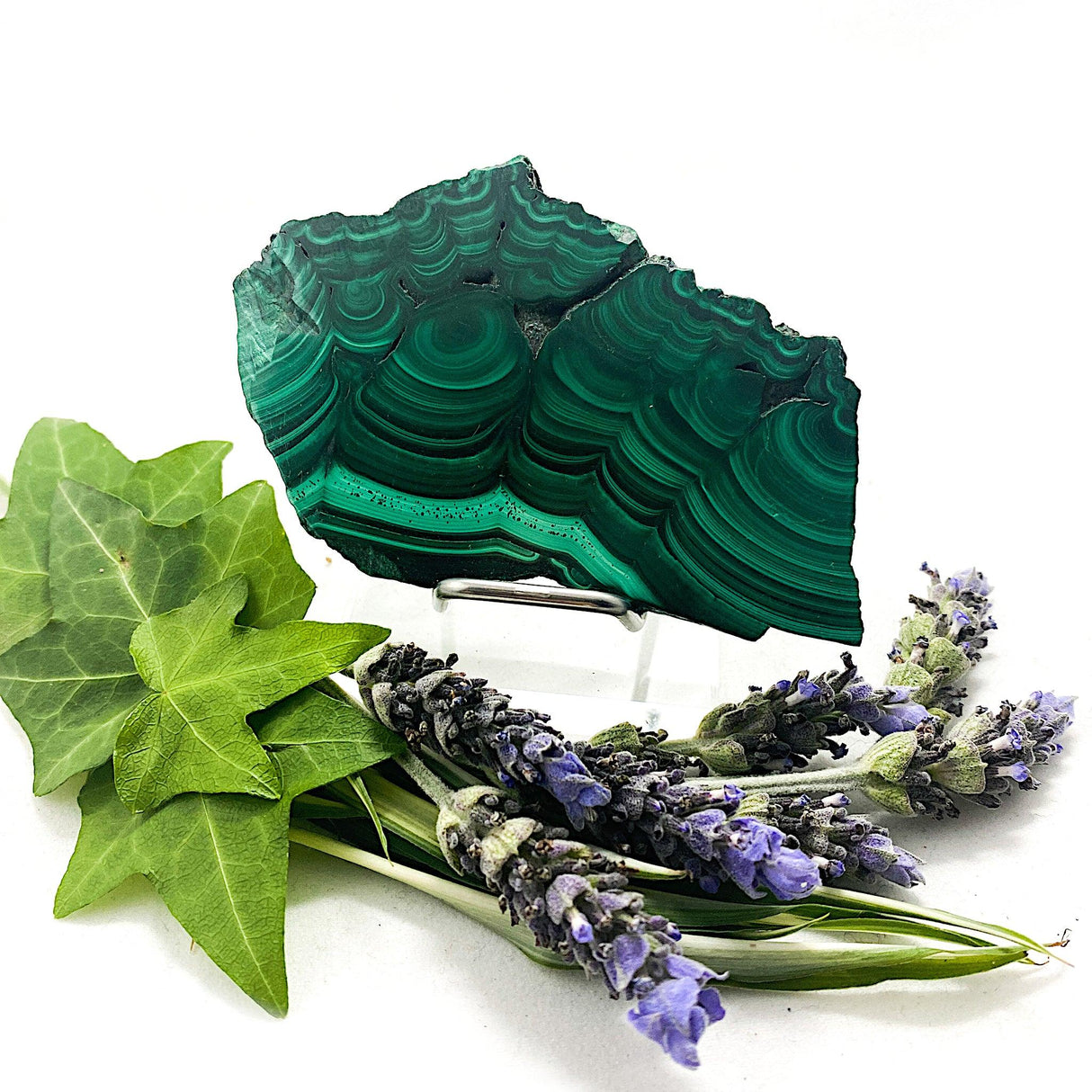 CR2895 Malachite slice 86g - Nature's Magick