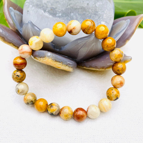 Crazy lace agate bracelet - Nature's Magick