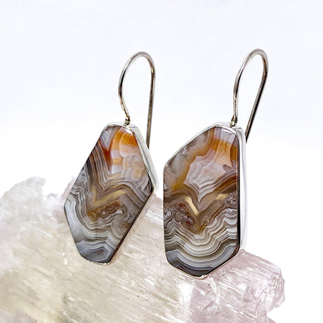 Crazy Lace Agate Freefrom cabochon earrings KEGJ577 - Nature's Magick
