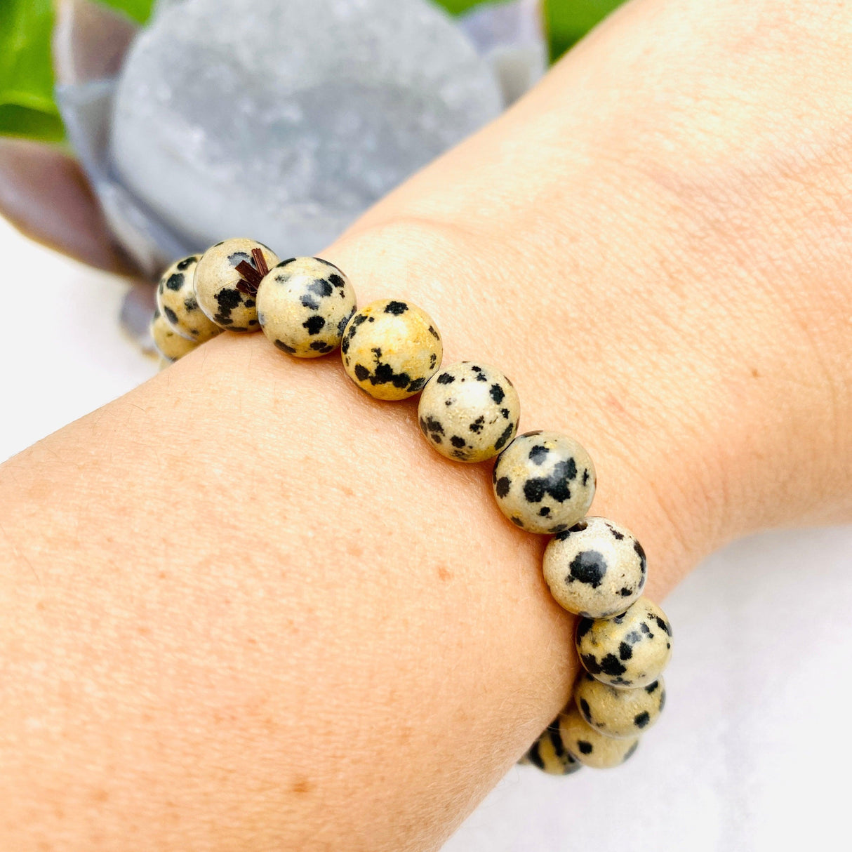Dalmation Stone bracelet - Nature's Magick