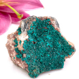 Dioptase specimen CR3186 - Nature's Magick