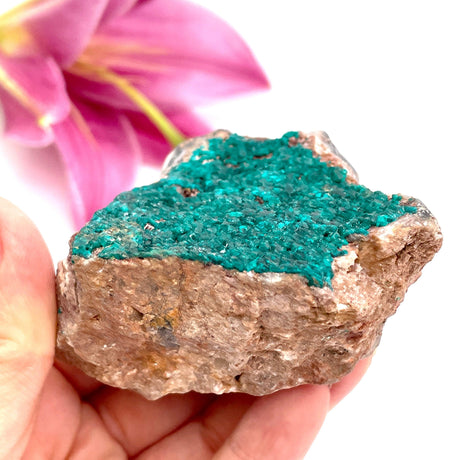 Dioptase specimen CR3186 - Nature's Magick