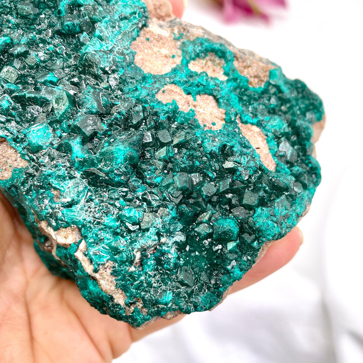Dioptase specimen CR3187 - Nature's Magick