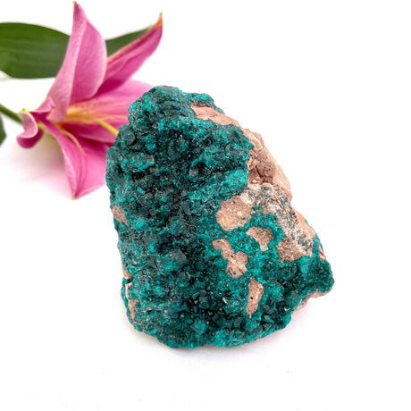 Dioptase specimen CR3187 - Nature's Magick