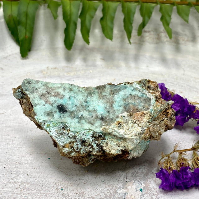 Drusi Coated Chrysocolla CR3276 - Nature's Magick