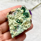 Drusi Coated Chrysocolla CR3278 - Nature's Magick