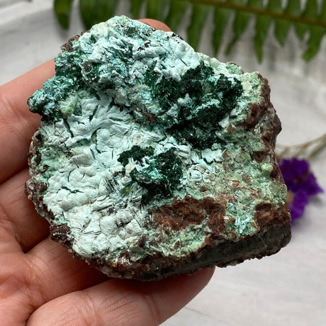 Drusi Coated Chrysocolla, Malachite & Dolomite CR3270 - Nature's Magick