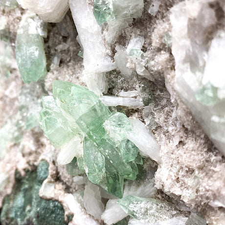 Green Apophyllite large crystal cluster 5.918kg GAPOC-01 - Nature's Magick