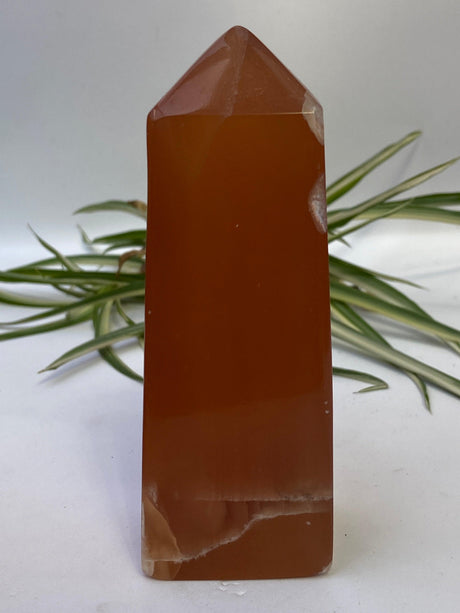 Honey Calcite Obelisk 460g PC53 - Nature's Magick