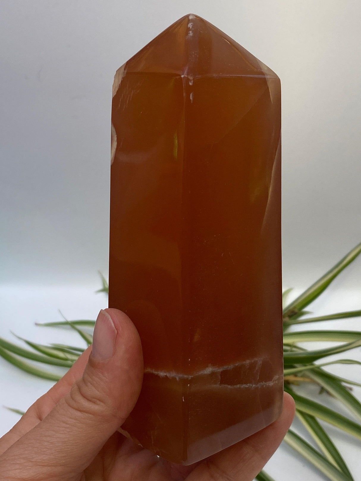 Honey Calcite Obelisk 460g PC53 - Nature's Magick