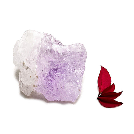 Kunzite natural crystal KUN-63 - Nature's Magick