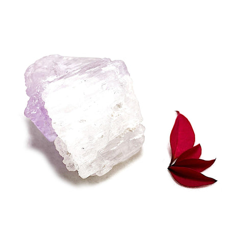 Kunzite natural crystal KUN-63 - Nature's Magick