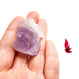 Kunzite natural crystal KUN-63 - Nature's Magick