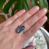 Kyanite oval cabochon ring with split band s.9 KRGJ1578 - Nature's Magick