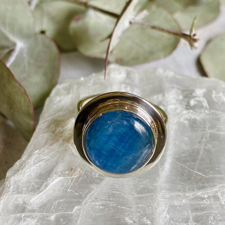 Kyanite round cabochon ring s.8 KRGJ230 - Nature's Magick