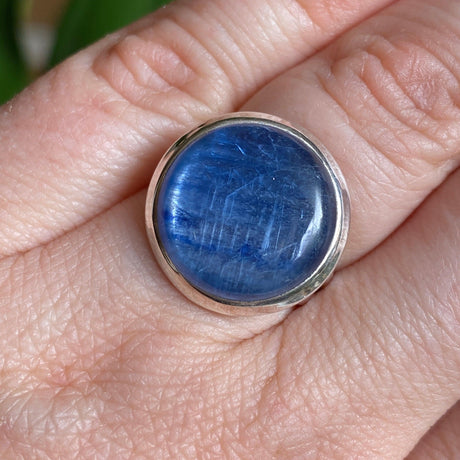 Kyanite round cabochon ring with split band s.6 KRGJ1580 - Nature's Magick