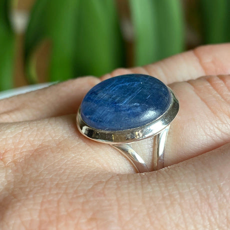 Kyanite round cabochon ring with split band s.6 KRGJ1580 - Nature's Magick