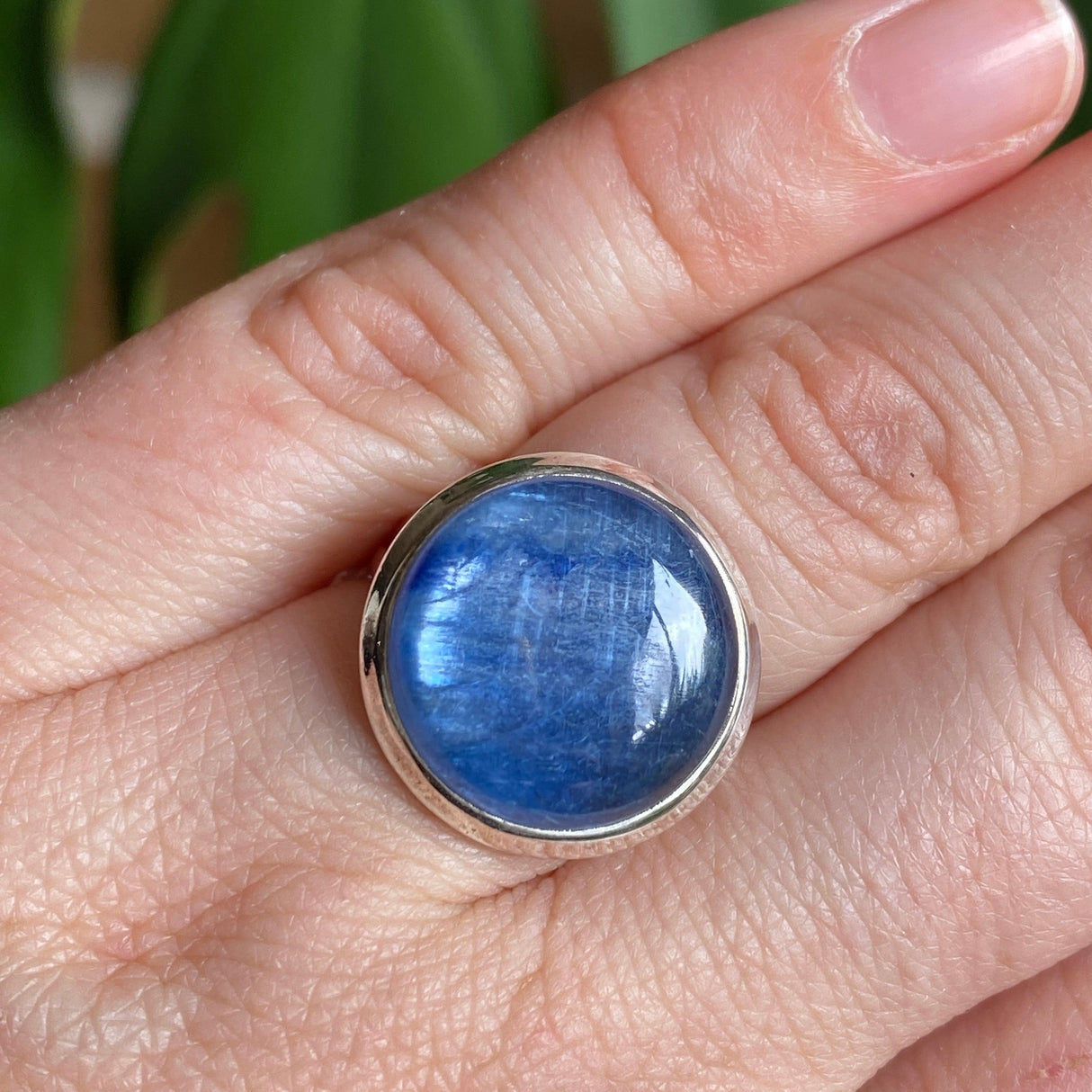 Kyanite round cabochon ring with split band s.6 KRGJ1580 - Nature's Magick