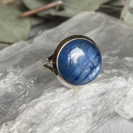 Kyanite round cabochon ring with split band s.6 KRGJ1580 - Nature's Magick