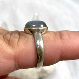 Labradorite Petite OVal Cabochon Ring with simple band PRGJ274 - Nature's Magick