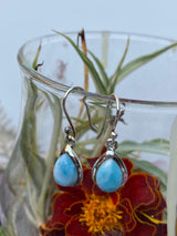 Larimar teardrop cabochon earrings KEGJ592 - Nature's Magick