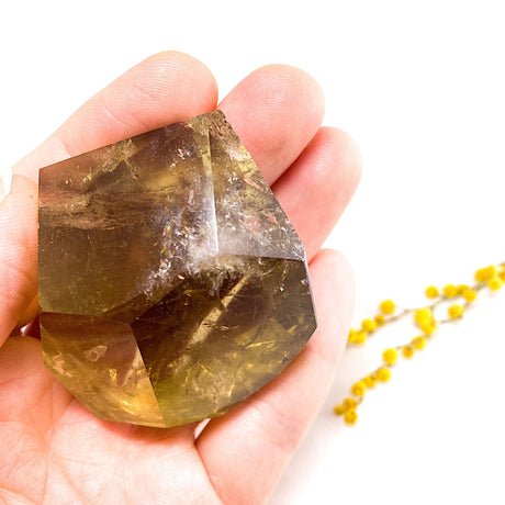 Lemon Quartz polyhedron LQP-07 - Nature's Magick