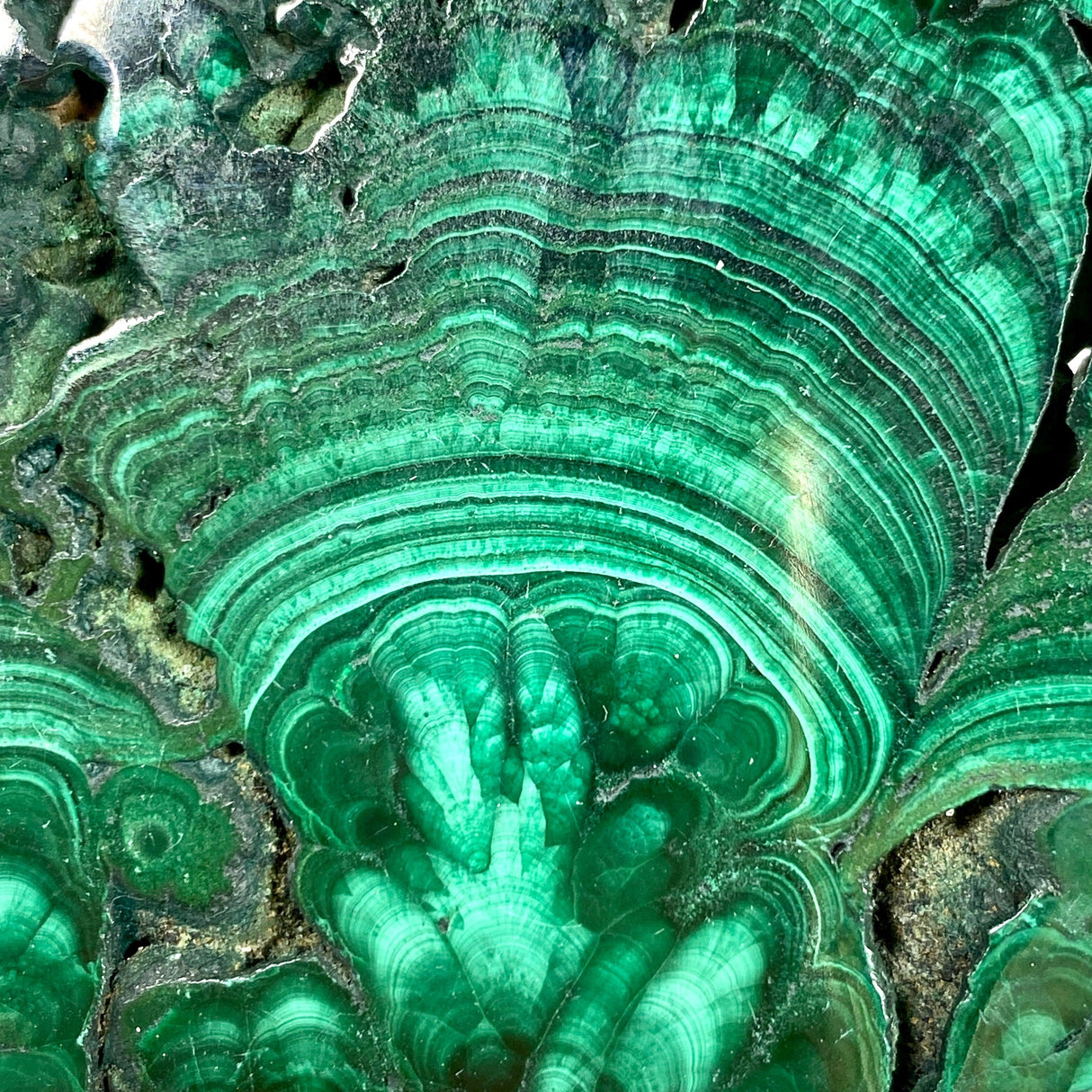 Malachite Slice CR3426 - Nature's Magick