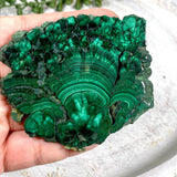 Malachite Slice CR3426 - Nature's Magick