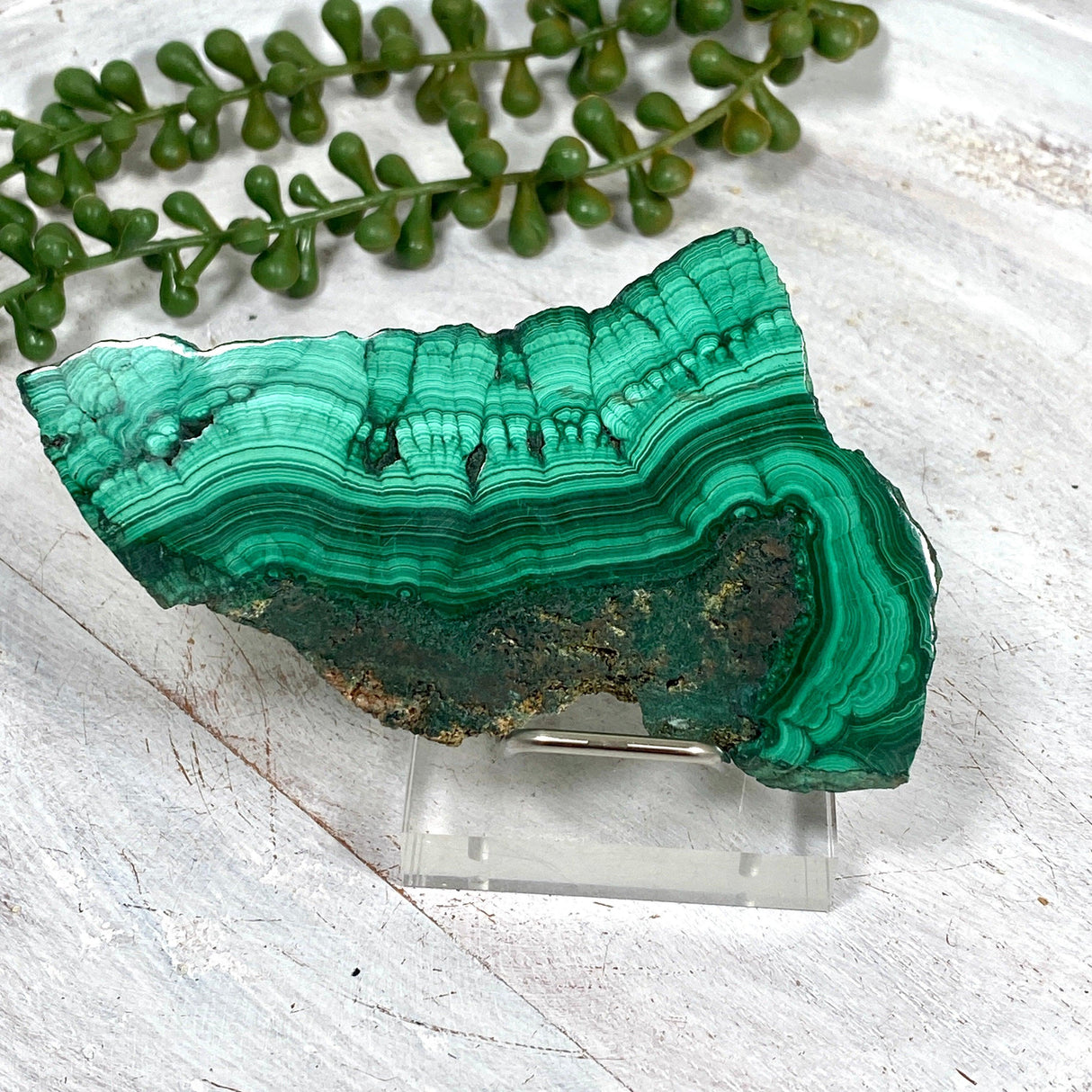 Malachite Slice CR3427 - Nature's Magick