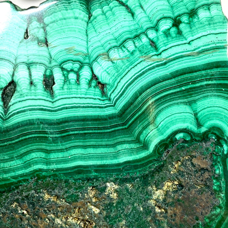 Malachite Slice CR3427 - Nature's Magick